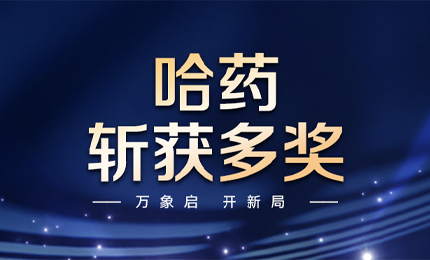 【喜讯】万象启，开新局，星空tiyu斩获多枚奖项
